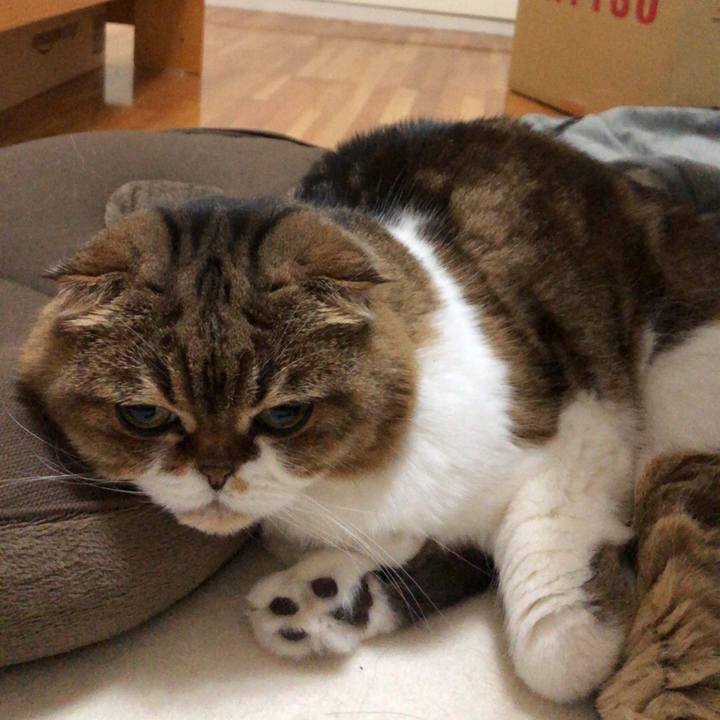 F93fbb3f 90a0 4864 bb1d 76d7630ed0a5 1539791605291