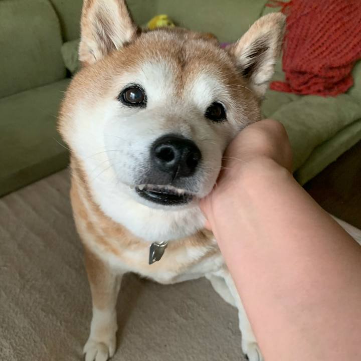 F93fe009 0177 4051 a47d bf634fd1374c 1592398950278