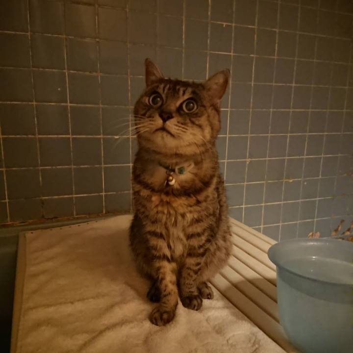 F93fef2f 37dd 4e24 a9db 8cc7d45f7b57 1576489092544