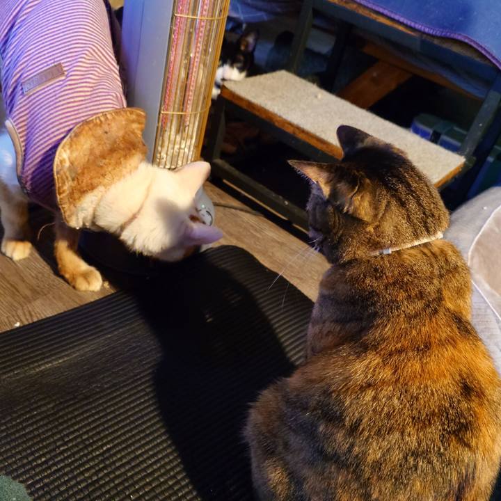 F9400154 6783 49df 82ea de2986c0a5b4 1773130629777