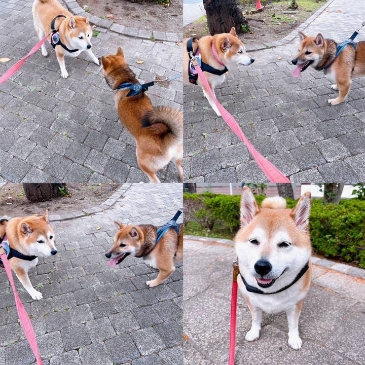 F9402001 62ae 4a81 a65a 5ca3cad9ad00 1698204468771