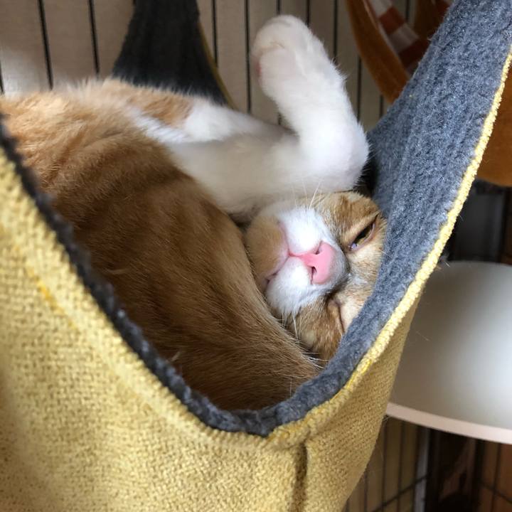 F94051fb e93c 4718 992e 839021eb37e1 1574247967185