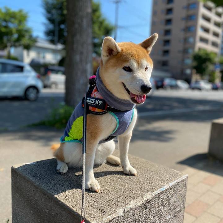 F940669f 5c89 48e4 9371 6a6e52c4d984 1626136907719