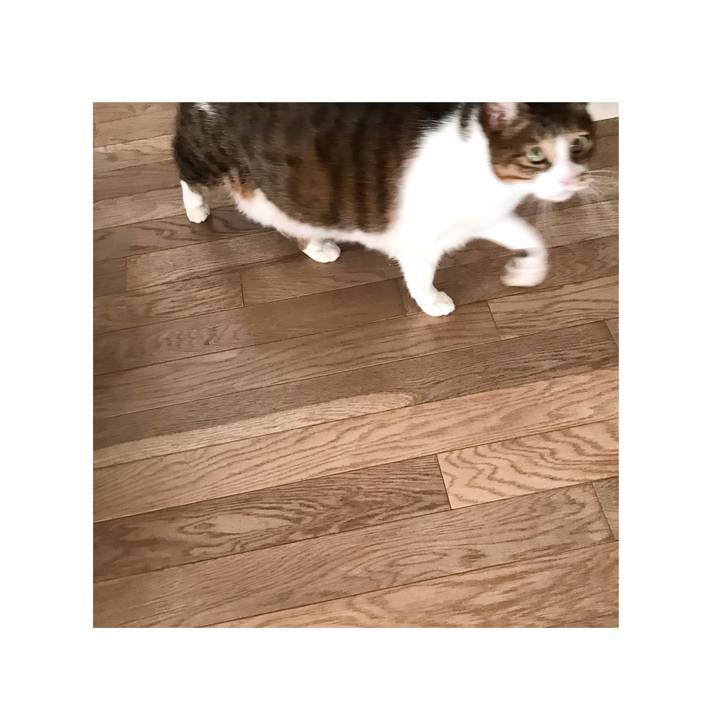 F94079e3 b3d6 4b15 9a65 e45d69121f30 1614823973233