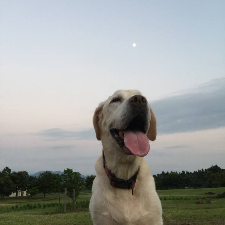 F9409aee 68c7 4546 aa3d 28a9af3098ee 1554728511546