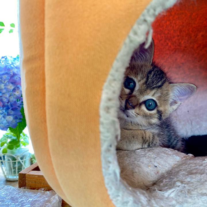 F940a088 5f75 4dbb a31f 530b6faed6f7 1621319761991