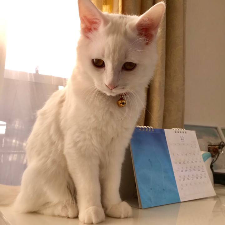 F940c9f0 5e9c 46e5 b16e b52af98df0f1 1557063623440