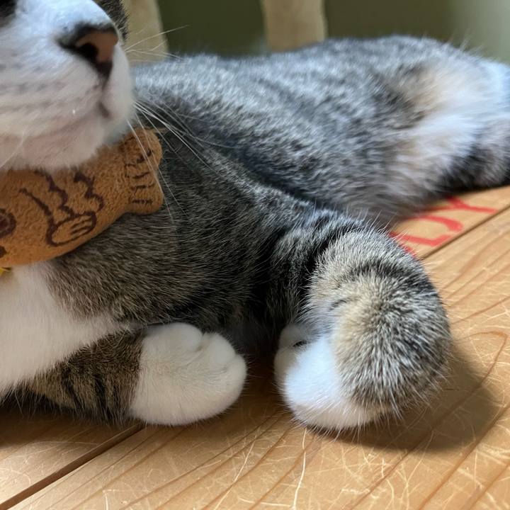 F940f38e 9b3d 4ebd 8781 08185ec77379 1751340408980