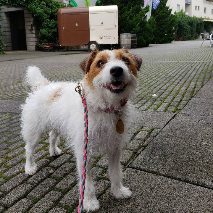 F9413b75 d859 4797 b929 ce50d13fc126 1595659516133