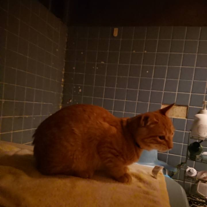 F941426a e817 4ec0 a1c0 cd128c6141da 1637143158368