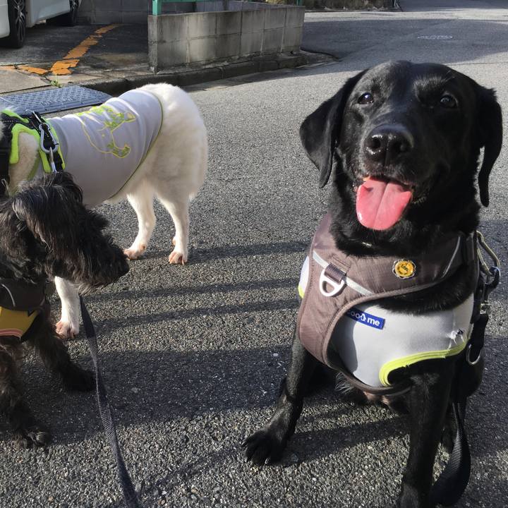 F9414440 bfeb 43eb 81bb 8b0d5073545c 1530575861789