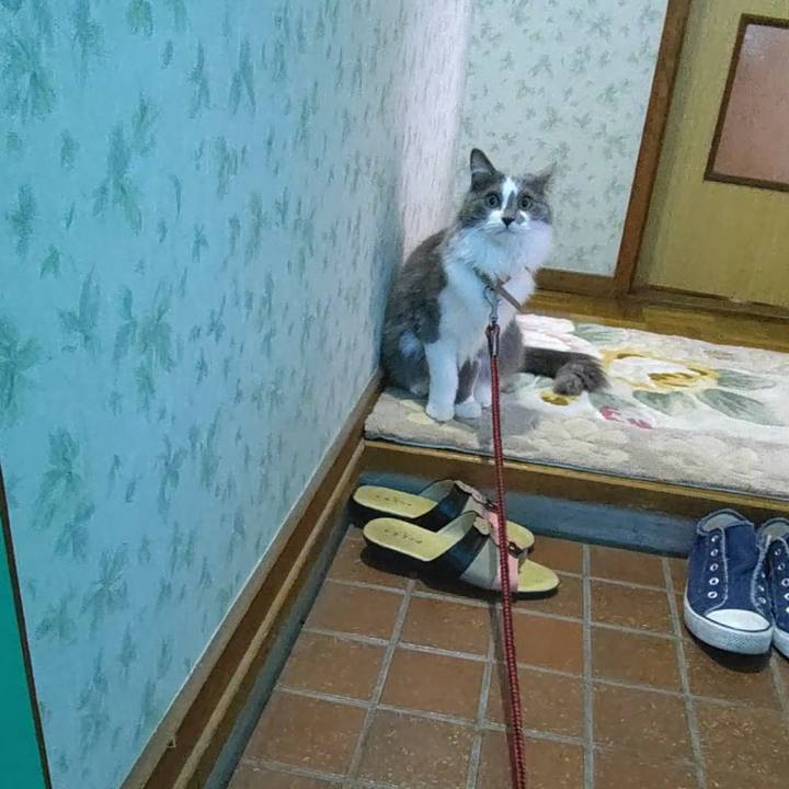 F9415636 ae04 45e1 9efd 2ac5bbee563d 1576401816147