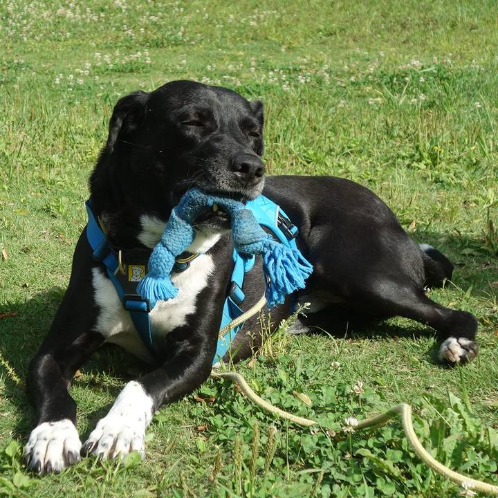 F9415ab8 e354 4107 be06 afd85f404d5b 1621987784021