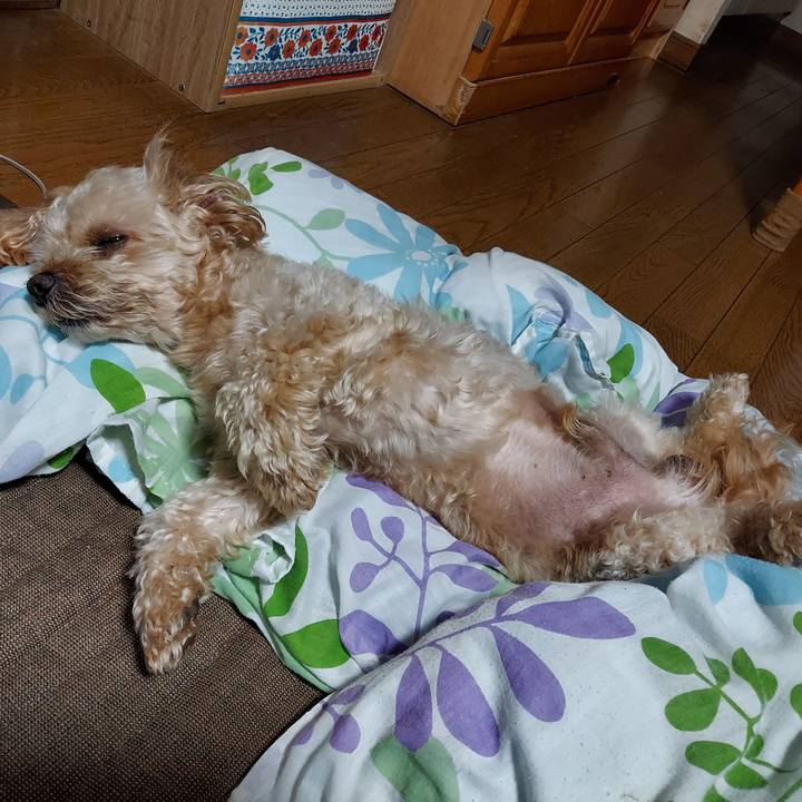 F9421890 3f4c 4e2a a963 e2a7bd38ca6d 1658843398855