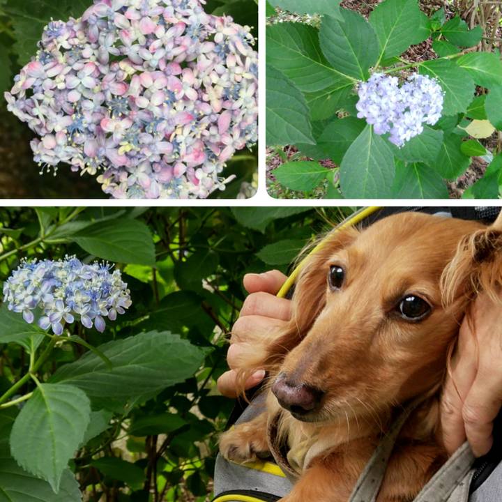 F9422c46 e68b 45d3 8c83 e819cc075998 1687778676871