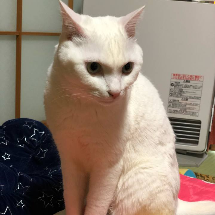 F94277f6 e5c0 45de a889 8961cf59a642 1549690417451