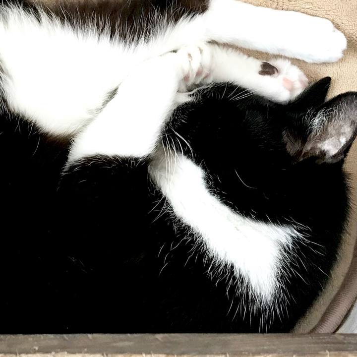 F942dc26 0957 4b1e a8d2 6b88e0984a53 1552456662629