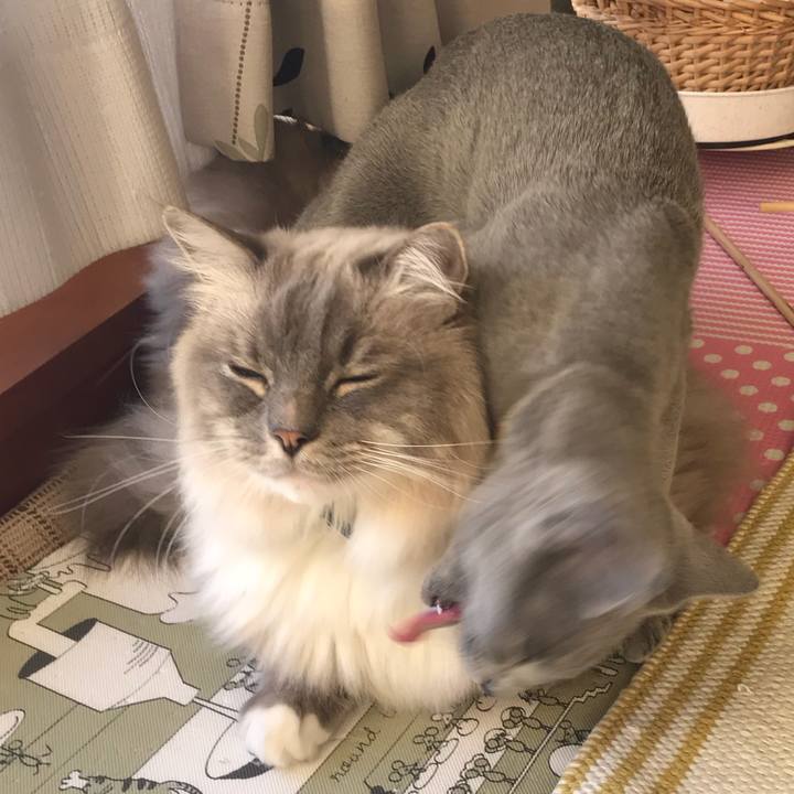 F942e830 cca9 4e56 a999 c655205086f3 1514540626192