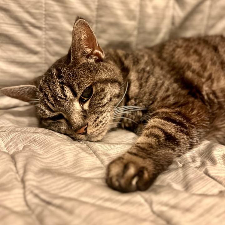 F942f2c8 30b0 4ff3 913b a412fe8aacbc 1759927680573