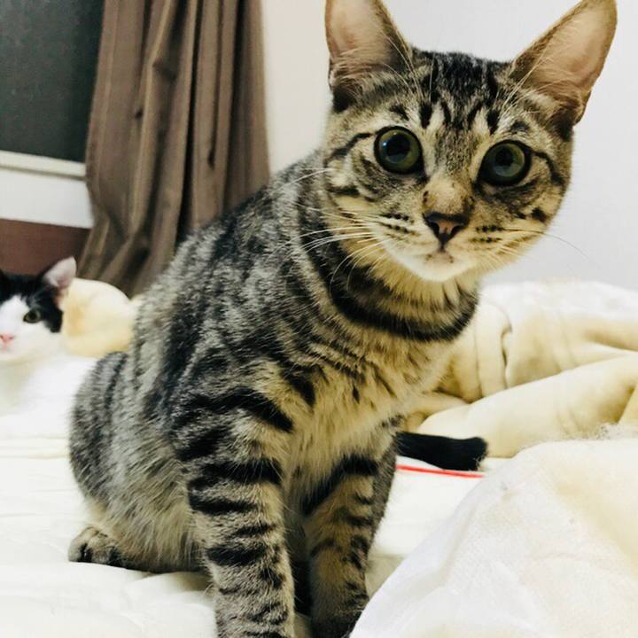 F942f6ef 27ec 4202 bea3 33ff41d5aac2 1509805683266