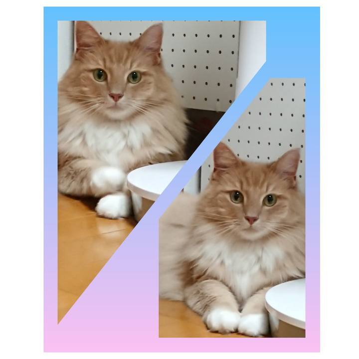 F9430012 ee4d 4789 8024 ad0ae43334cd 1565868822980