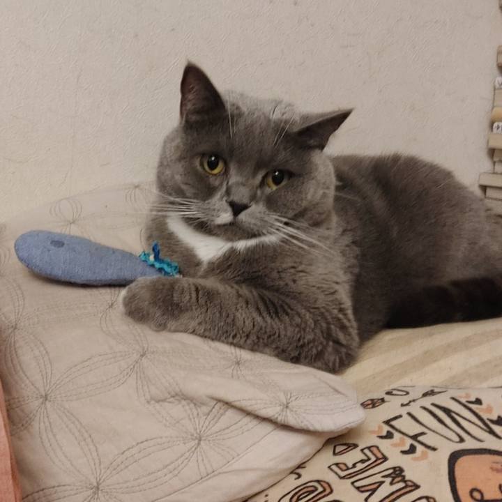 F94348ef 8a85 4202 a6e3 88b4558833a4 1613909919315