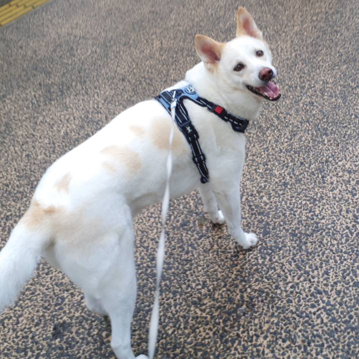 F9435fab 25ab 498e a5d8 3726218dbc65 1658011771655