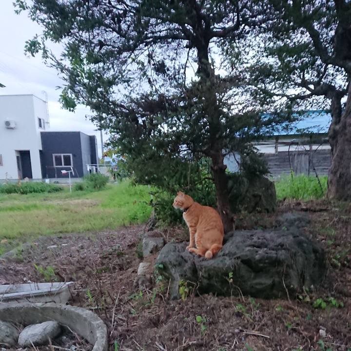 F943b3df 17ff 4524 a19b c826a78cd594 1661292494959