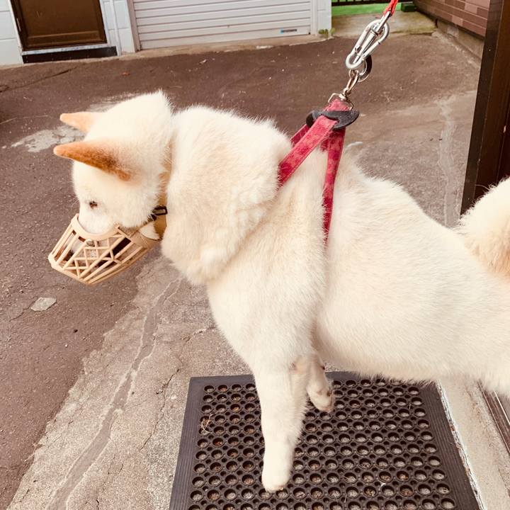 F943c77c 5dfe 47d6 b960 51a3697981d8 1592685402481