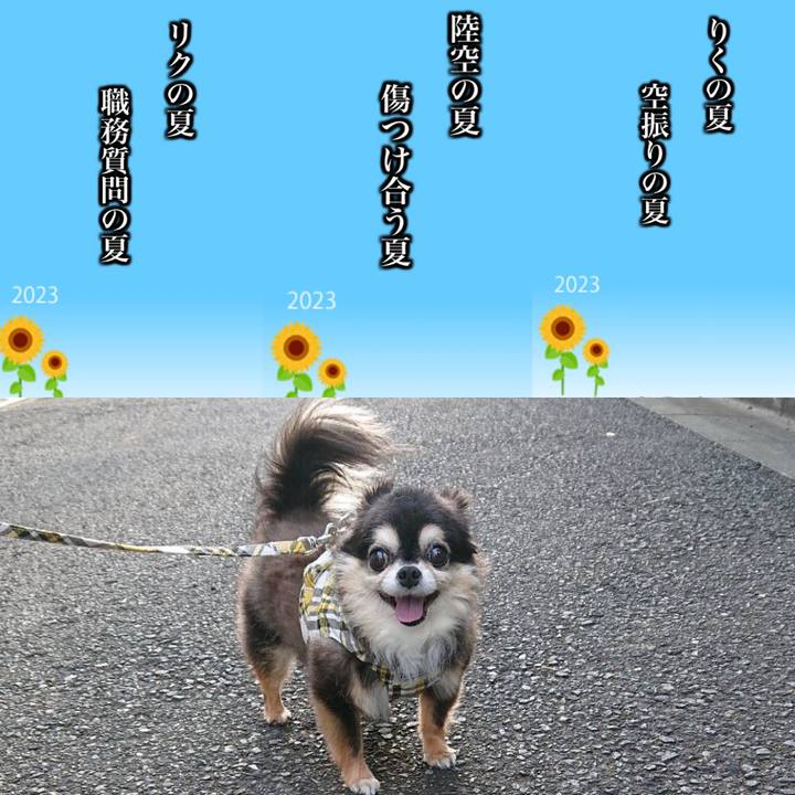 F94411c7 3433 492c 8300 060588e30d0c 1690252323914