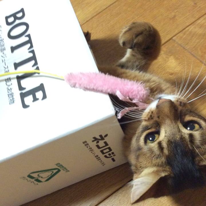 F9442eab ec5f 448e 9663 1b871af5c5f3 1571464710146