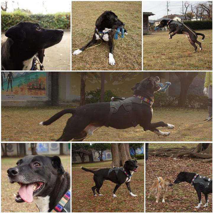 F94436ed f7b0 4d7d b35e a46d792f5dbf 1637456390546