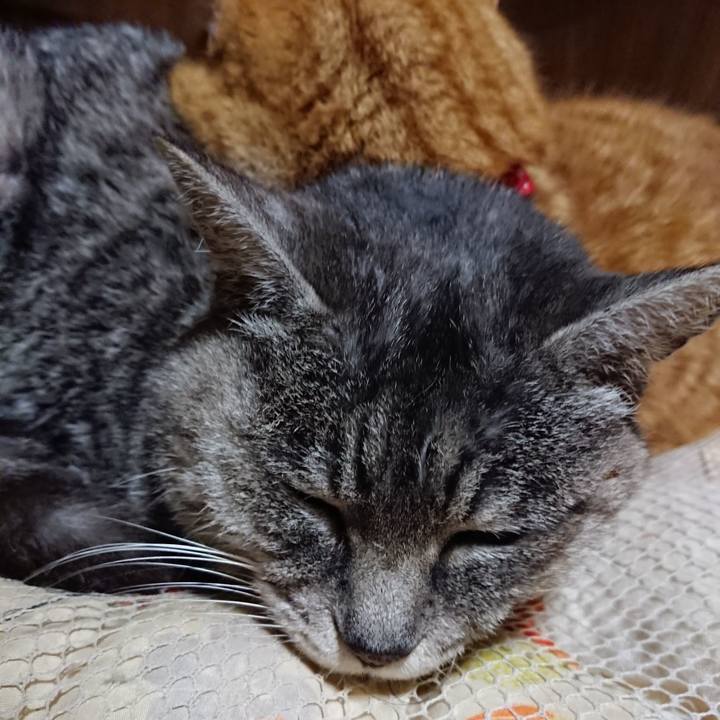 F944790d 78f8 4d11 a53a 98ae748c03cd 1578399818207