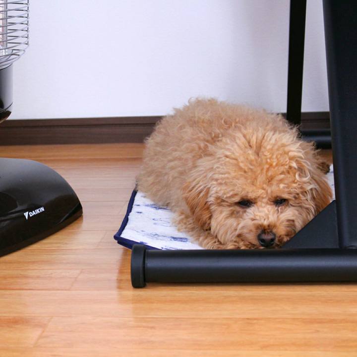 F944a372 e1af 4472 b17d b31aefd852c3 1511746606878