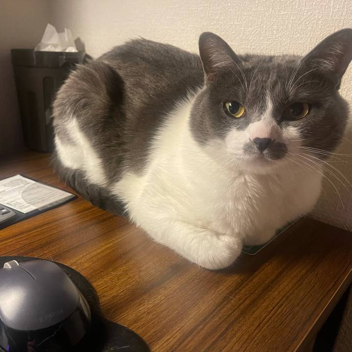 F944a4c1 aea8 4fa8 906c 9316a7536130 1645108030236