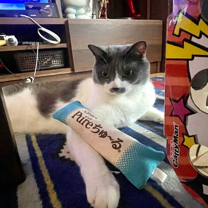 F944d4cc 340b 43f6 93d4 c90b47d484d9 1664175392052