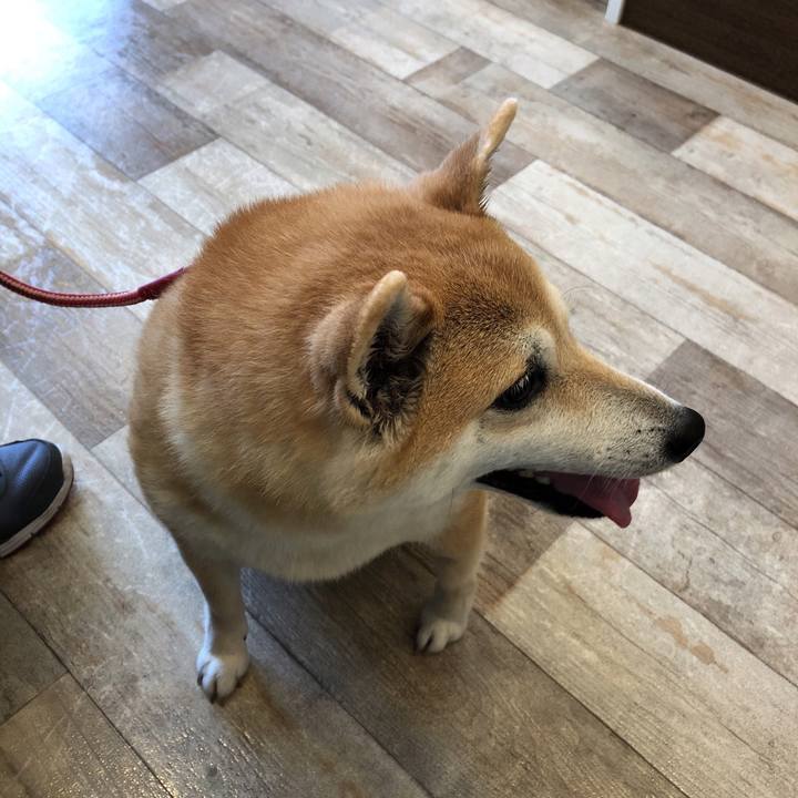 F944dee7 ccb1 421c 84f3 e6a4443352e4 1556599747016