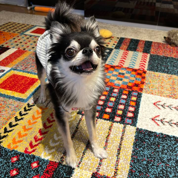 F944eb63 131b 4f12 b255 7ca2775d9fbc 1727020544066