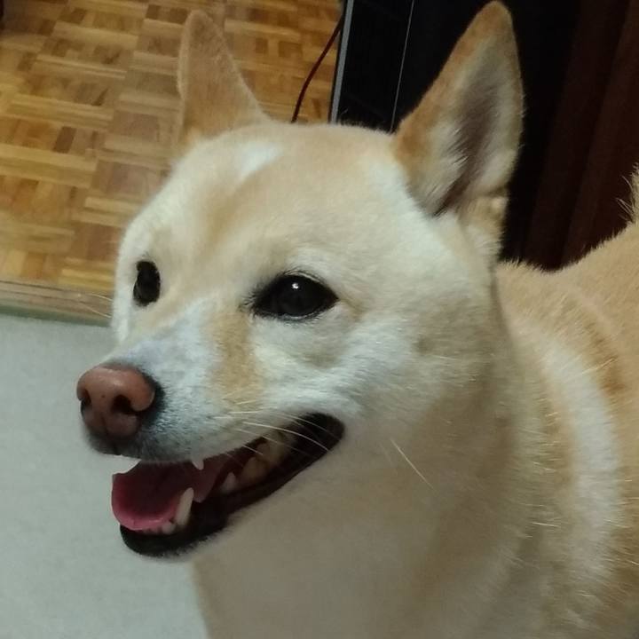 F94519ba b24e 4992 a918 2e23bc705aca 1595714224820