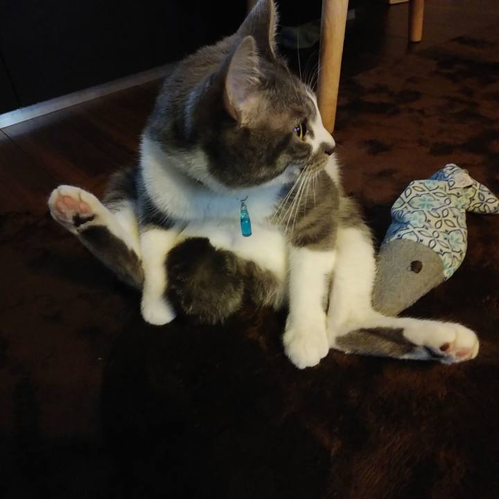 F9452770 9a65 466a 9471 ceac66bdae2d 1582675254998