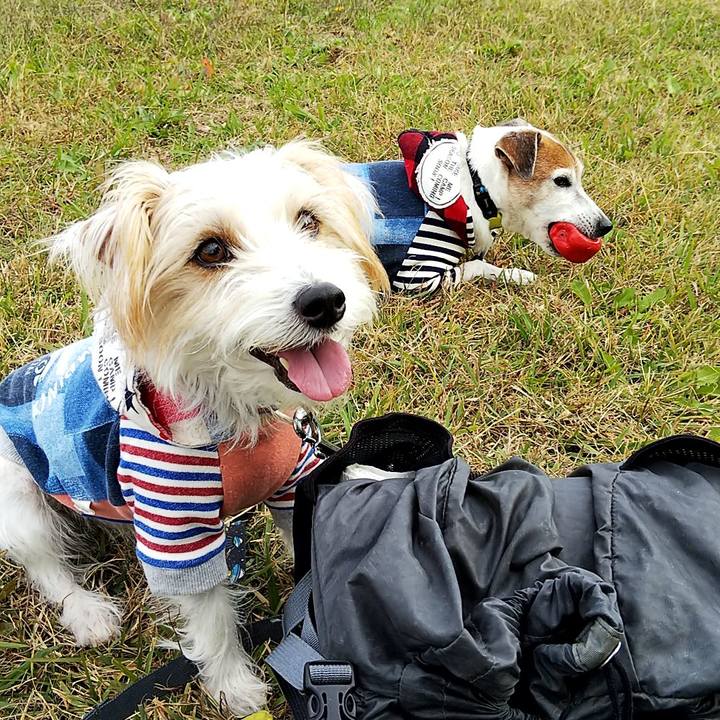 F9454706 0cd6 4a43 bc71 501a14ecf040 1543126166621