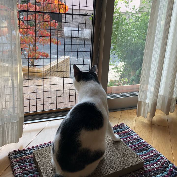 F94580d4 4b1e 4b17 b958 e54d801cb9e1 1699864518473