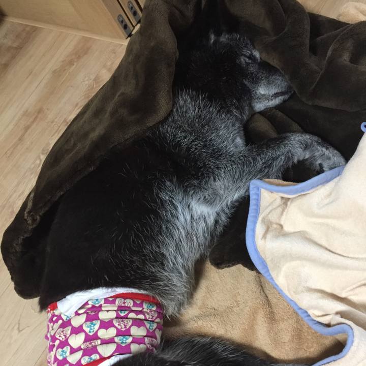 F945b150 44f2 4e75 aaf7 a06dc6d4464e 1547955993987