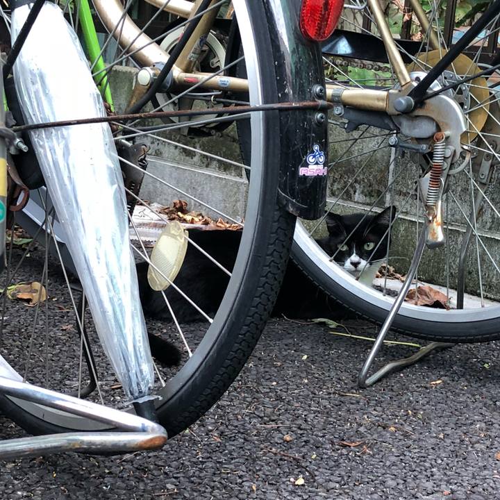 F94619fe 0fc0 4d65 bf99 39f349e8485b 1536145202021