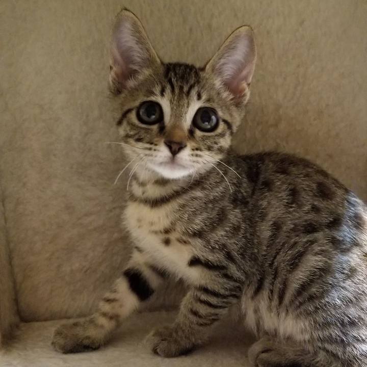 F9462c23 4547 45fd 9115 36b6dffb2a06 1537535430355