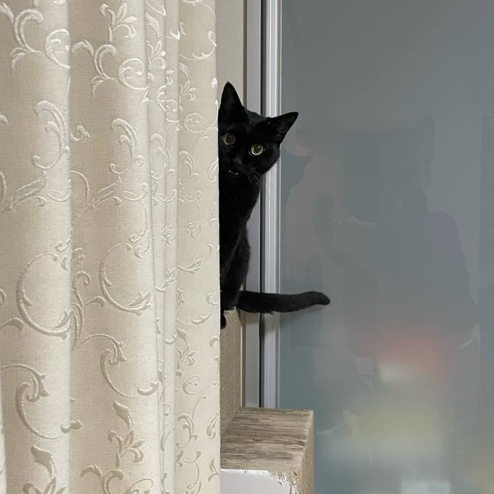 F946307e 2eb2 41e2 a257 baccba1d3420 1767687779969