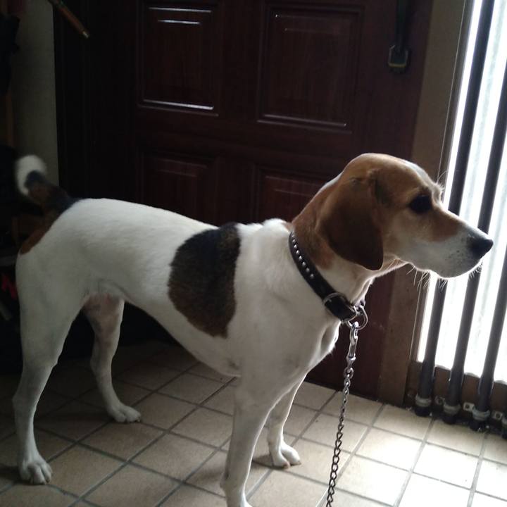 F9466827 40a5 4cc6 81a4 2ce0a635699c 1665202987464