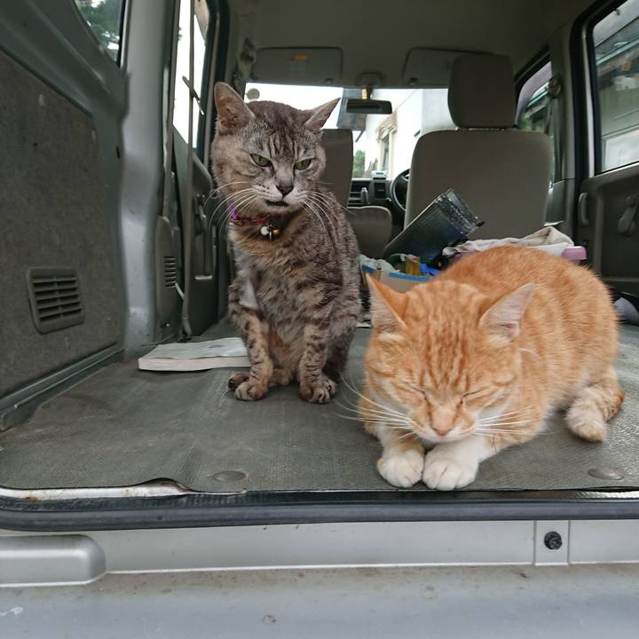 F94680a1 fa62 4ada 89d1 9ec3f60542d5 1592817139503