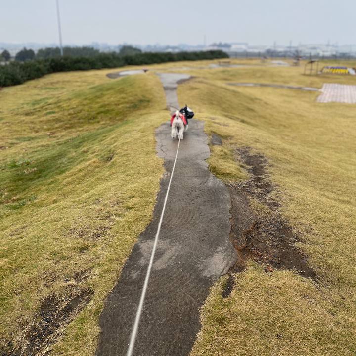 F94690be cf5e 44dd 9425 1daa7543b913 1574411882442