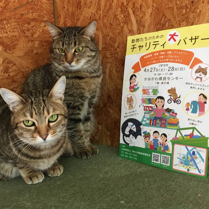 F946a1c0 6dcf 4db3 a5ff 2638fed81e46 1553071359663